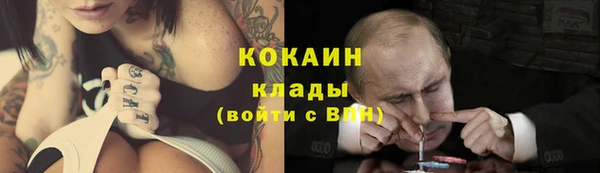 тгк Арсеньев