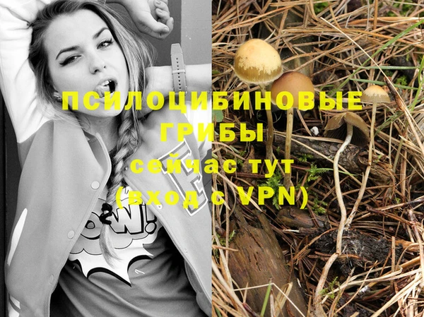 дживик Армянск