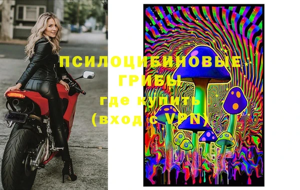 тгк Арсеньев